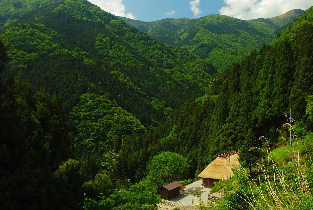 Tougenkyo Iya No Yamazato Villa Wakabayashi Екстериор снимка